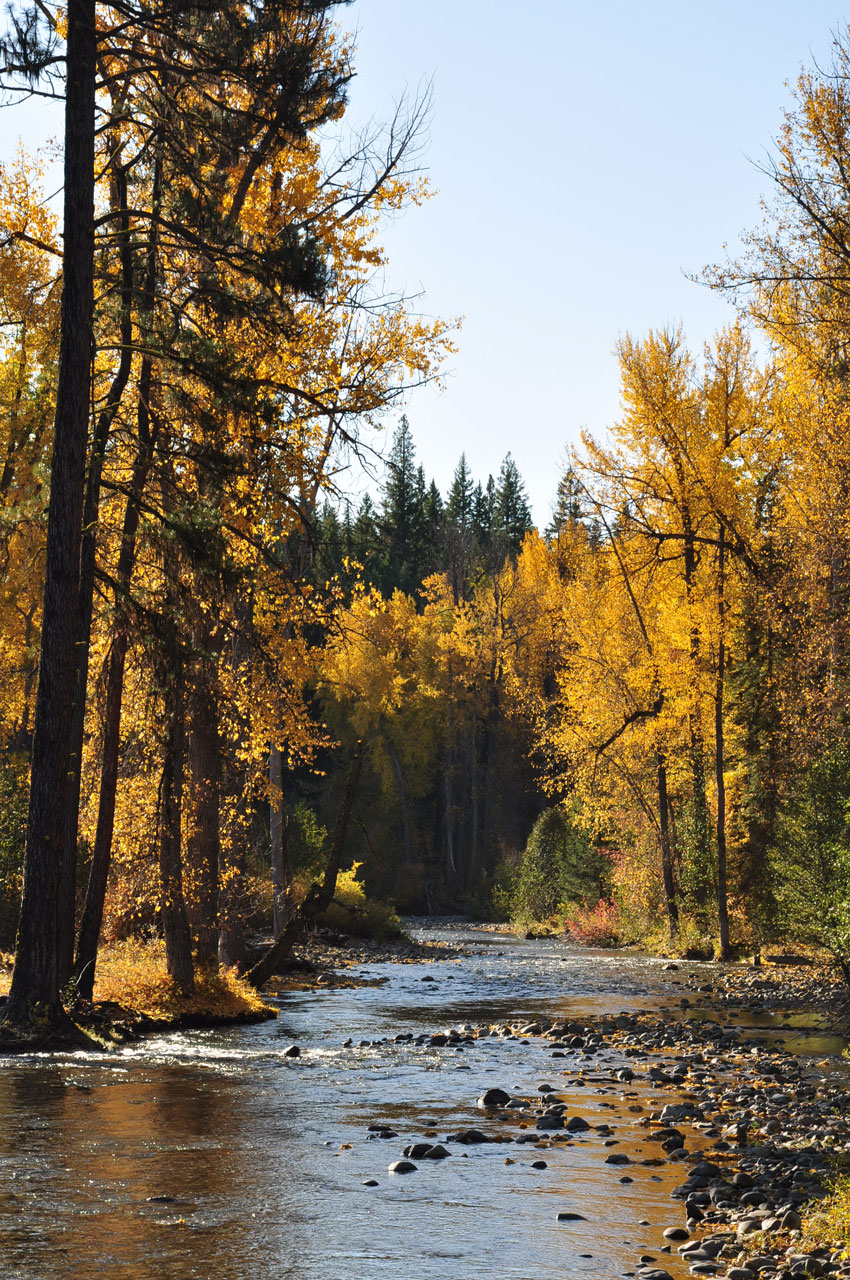 Teanaway in the fall