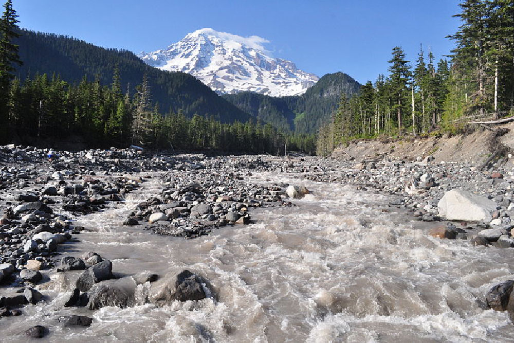 Nisqually Watershed Hirst Response